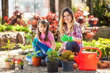 英语口语表达:种花 to plant some flowers